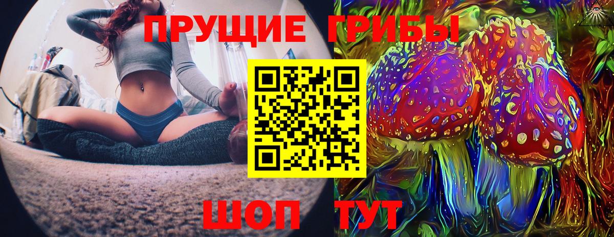 Галлюциногенные грибы мицелий Губкинский